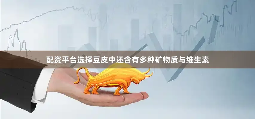 配资平台选择豆皮中还含有多种矿物质与维生素