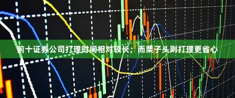前十证券公司打理时间相对较长；而栗子头则打理更省心